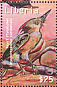 Tropical Royal Flycatcher Onychorhynchus coronatus  2000 Tropical birds of the world Sheet