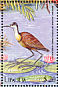 African Jacana Actophilornis africanus  2000 Birds of Africa Sheet