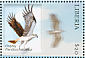 Osprey Pandion haliaetus  2001 Birds Sheet