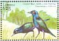 Greater Blue-eared Starling Lamprotornis chalybaeus  2001 Birds of Africa Sheet