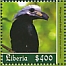 Western Long-tailed Hornbill Horizocerus albocristatus  2020 Hornbills Sheet