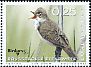 Common Reed Warbler Acrocephalus scirpaceus  2018 Rare birds 