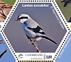 Great Grey Shrike Lanius excubitor  2022 Birdpex 9 Sheet