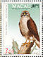 Peregrine Falcon Falco peregrinus  1993 Birds of prey Sheet with 1 set