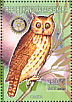 Madagascar Owl Asio madagascariensis  1999 Animals of the world 9v sheet