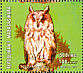 Long-eared Owl Asio otus  2001 Owls Sheet