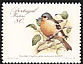 Madeira Chaffinch Fringilla maderensis  1988 Birds 
