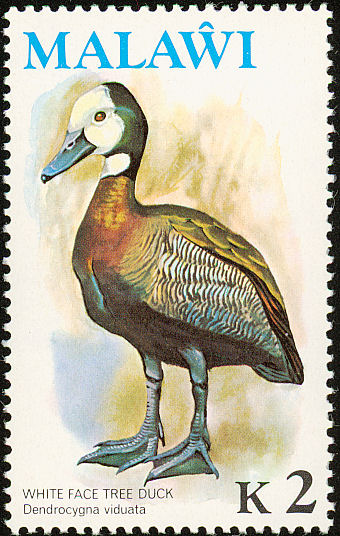 Birds on stamps Malawi Text only with links to images