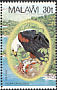 African Fish Eagle Icthyophaga vocifer  1983 African Fish Eagle Strip