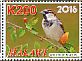 House Sparrow Passer domesticus  2016 Birds of Malawi Sheet