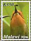 BÃ¶hm's Bee-eater Merops boehmi  2016 Birds of Malawi  MS MS MS