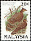 Malayan Peacock-Pheasant Polyplectron malacense  1986 Protected wildlife of Malaysia p 13Â¼