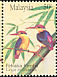 Black-backed Dwarf Kingfisher Ceyx erithaca  1993 Kingfishers 