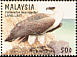 White-bellied Sea Eagle Icthyophaga leucogaster  1996 Birds of prey 