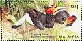 Rhinoceros Hornbill Buceros rhinoceros  1996 Stamp week 6v sheet