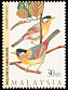 Silver-eared Mesia Leiothrix argentauris  1997 Malaysian highland birds 