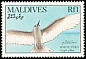 White Tern Gygis alba  1990 Birds 