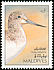 Common Greenshank Tringa nebularia  1992 Birds 