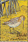 Common Snipe Gallinago gallinago  1993 Birds Sheet