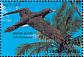 Brown Booby Sula leucogaster  1993 Birds Sheet