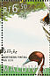 Northern Pintail Anas acuta  1995 Ducks Sheet