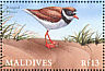 Common Ringed Plover Charadrius hiaticula  2000 Birds of the tropics Sheet