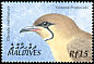 Oriental Pratincole Glareola maldivarum  2002 Birds of the Maldives 