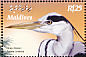 Grey Heron Ardea cinerea  2003 Birds in Maldives  MS