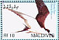 Sooty Tern Onychoprion fuscatus  2007 Birds Sheet