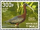 Glossy Ibis Plegadis falcinellus  2022 Birds of Mali Sheet
