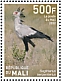 White-headed Vulture Trigonoceps occipitalis  2022 Birds of Mali Sheet