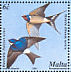 Western House Martin Delichon urbicum  2001 Birds of Malta Sheet