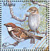 Spanish Sparrow Passer hispaniolensis  2001 Birds of Malta Sheet