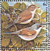 Spectacled Warbler Curruca conspicillata  2001 Birds of Malta Sheet