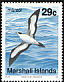 Wedge-tailed Shearwater Ardenna pacifica  1991 Birds 