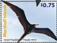 Great Frigatebird Fregata minor  2021 Birds of the Marshall Islands Sheet
