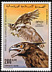 Long-crested Eagle Lophaetus occipitalis  1976 Mauritanian birds 