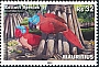 Broad-billed Parrot Lophopsittacus mauritianus â€   2023 Extinct species 