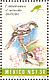 Loggerhead Shrike Lanius ludovicianus  1994 Nature conservation 24v sheet