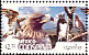 Osprey Pandion haliaetus  2005 Conservation 7v set