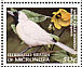 Chuuk Monarch Metabolus rugensis  1998 Endemic birds 