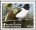 Yap Monarch Monarcha godeffroyi  1998 Endemic birds 