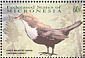 White-throated Dipper Cinclus cinclus  2001 Birds Sheet