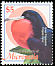 Great Frigatebird Fregata minor  2002 Definitives 