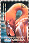 American Flamingo Phoenicopterus ruber  2003 Birds  MS