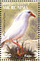 Kagu Rhynochetos jubatus  2004 Birds of the Pacific Sheet