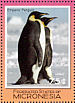 Emperor Penguin Aptenodytes forsteri  2007 Penguins Sheet