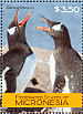 Gentoo Penguin Pygoscelis papua  2007 Penguins  MS