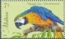 Blue-and-yellow Macaw Ara ararauna  2023 Chisinau Zoo 4v set