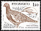 Rock Ptarmigan Lagopus muta  1982 Birds from Mercantour national park 